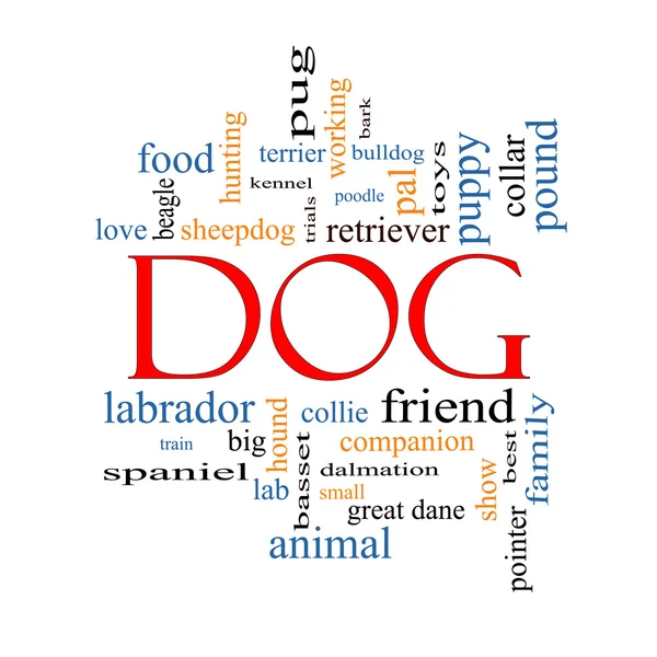Dog Word Cloud Concept — Stock Photo, Image