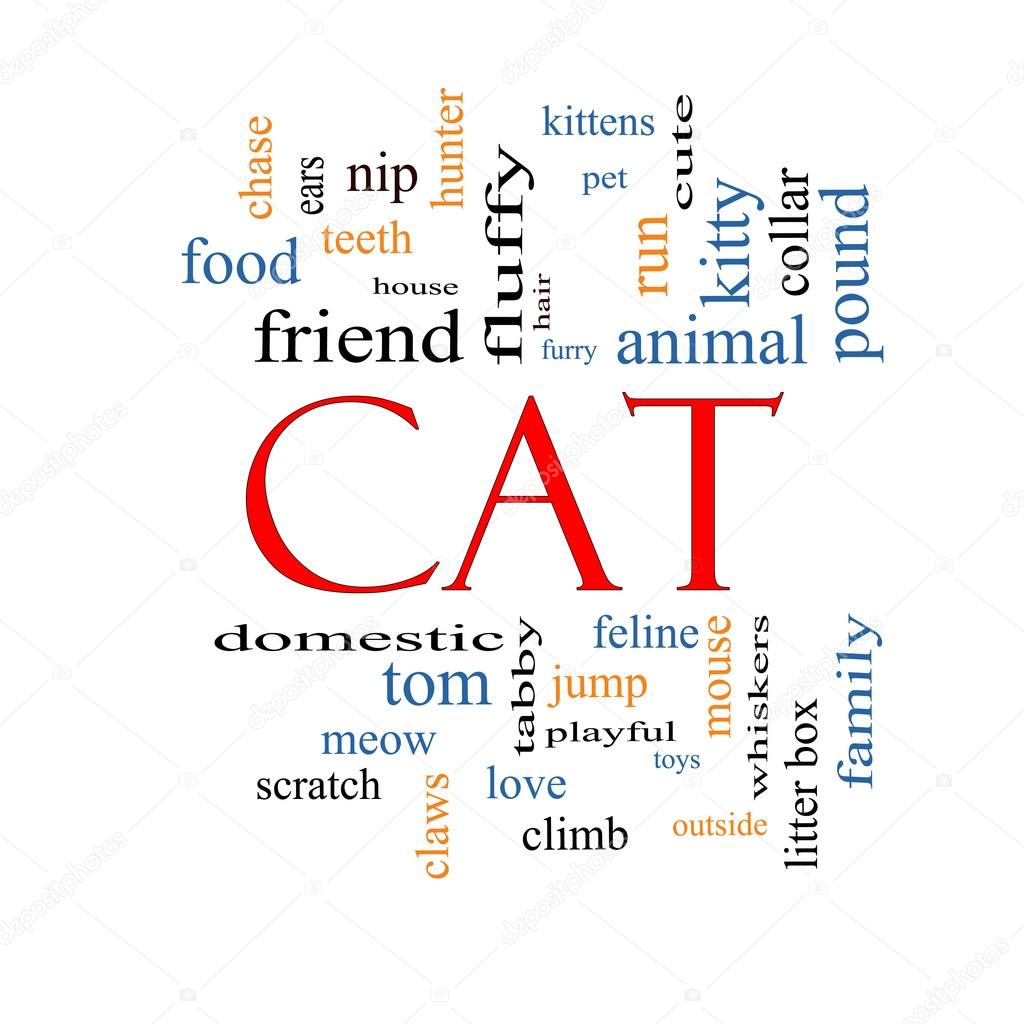 Cat Word Cloud Concept