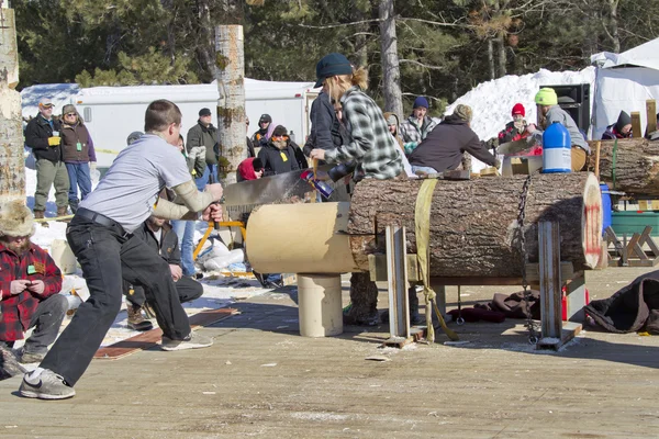 Lumberjack Dos hombres Bucksaw competencia —  Fotos de Stock