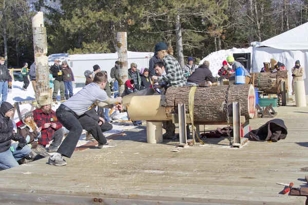 Lumberjack Two Man Bucksaw competition starting — Stock Photo, Image