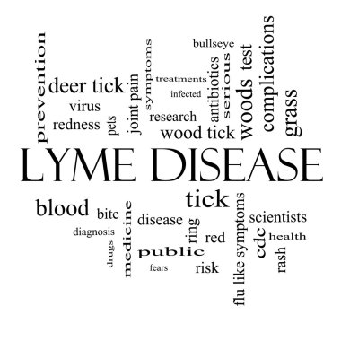 Lyme hastalığı word cloud kavramı siyah beyaz