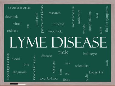 Lyme hastalığı word cloud kavramı üzerine bir yazı tahtası