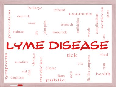 bir beyaz tahta üzerinde Lyme hastalığı word cloud kavramı