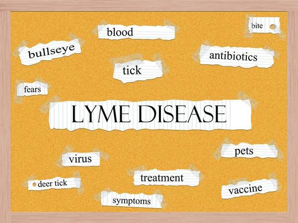 Enfermedad de Lyme Corkboard Palabra Concepto — Foto de Stock