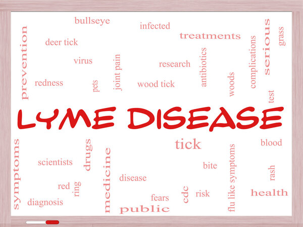 Lyme Disease Word Cloud Concept on a Whiteboard