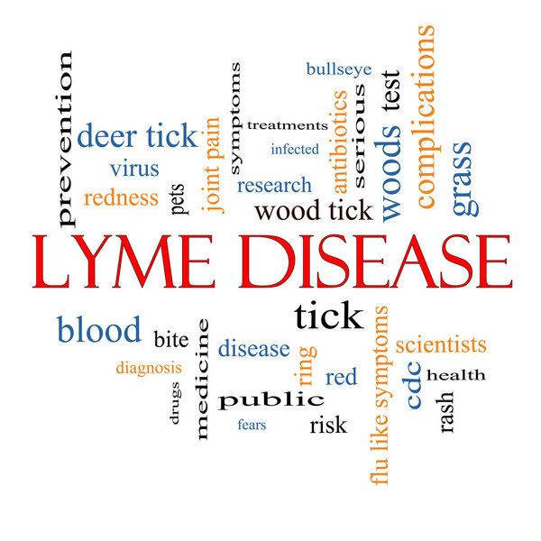 Lyme Disease Word Cloud Concept