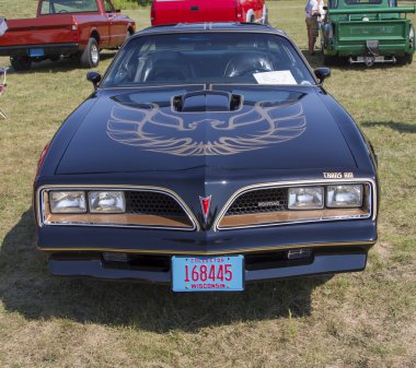 1977 pontiac trans am firebird Siyah araba