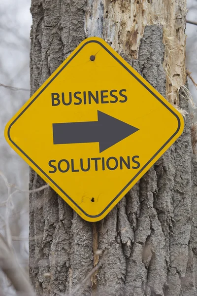 Business Solutions Arrow Sign on Tree — Stock Photo, Image