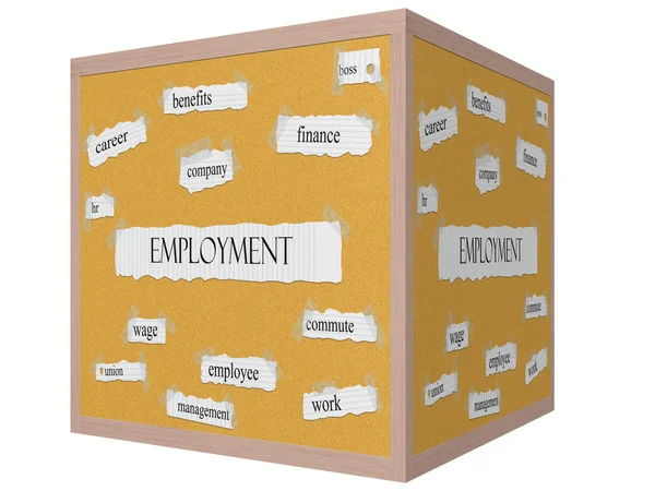 Employment 3D Cube Corkboard Word Concept — Stock Photo, Image