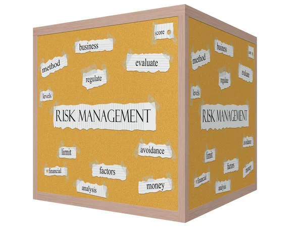 Risk yönetimi 3d küp corkboard kelime kavram — Stok fotoğraf