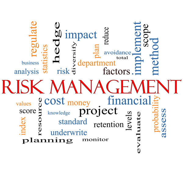 Risk Management Word Cloud Concept