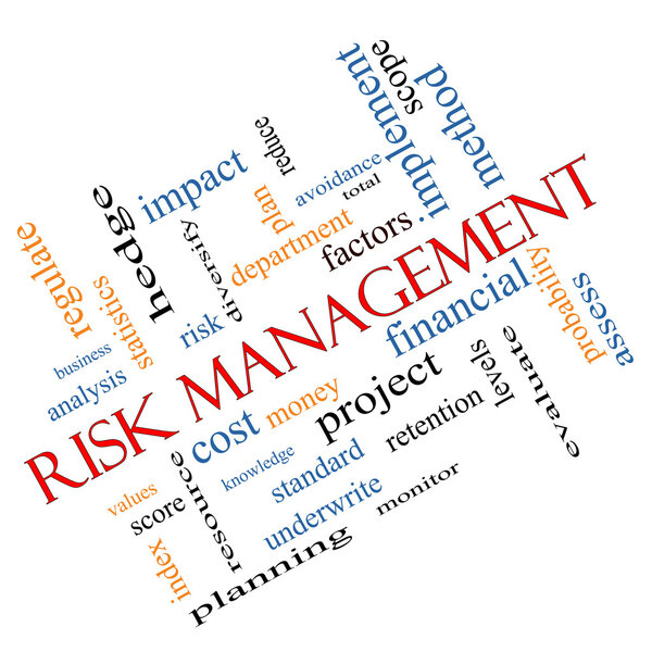 Risk Management Word Cloud Concept Angled
