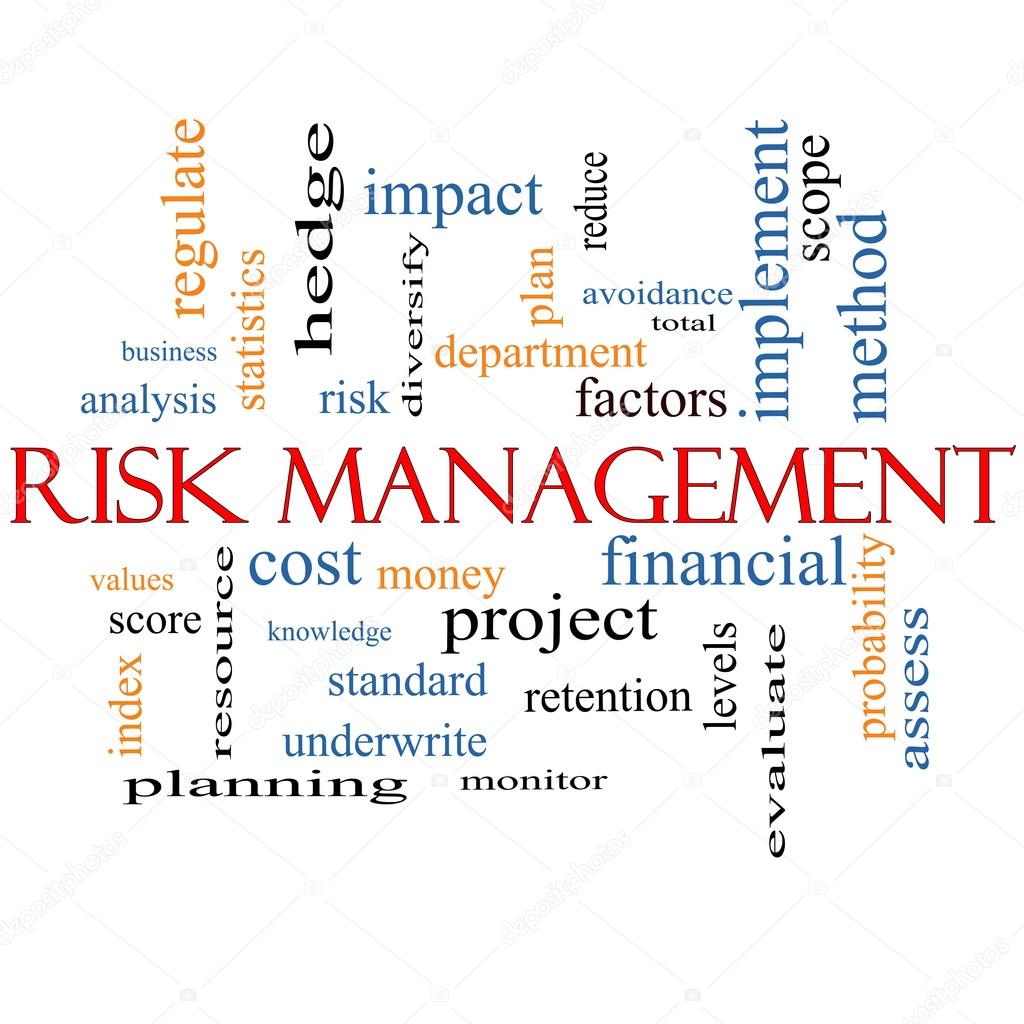 Risk Management Word Cloud Concept