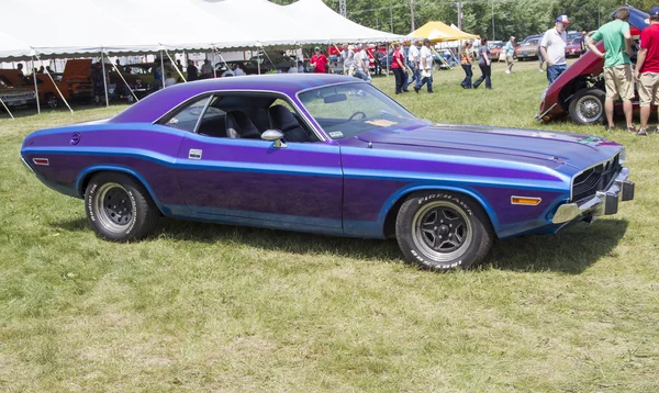 Purple Dodge Challenger Side View 1970 — стоковое фото