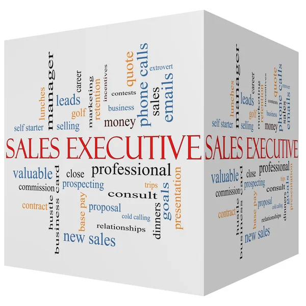 Sales Executive 3D cubo Word Cloud Concept — Foto Stock
