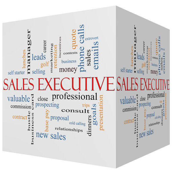 Sales Executive 3D cube Word Cloud Concept