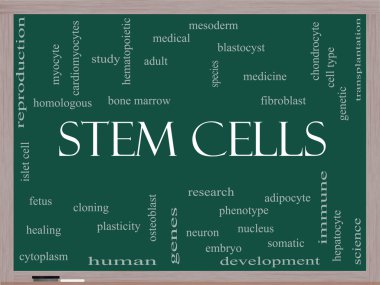 Stem Cells Word Cloud Concept on a Blackboard clipart