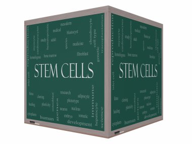 Stem Cells Word Cloud Concept on a 3D cube Blackboard clipart