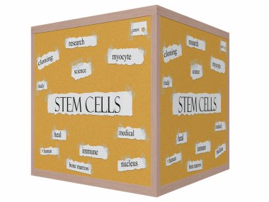 kök hücre 3d küp corkboard kelime kavram