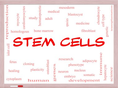 Stem Cells Word Cloud Concept on a Whiteboard clipart
