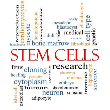 Stem Cells Word Cloud Concept clipart