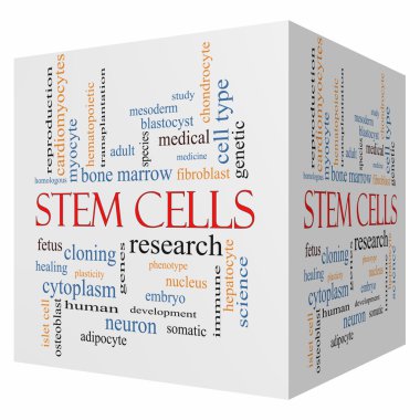 Stem Cells 3D cube Word Cloud Concept clipart