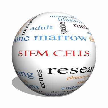 Stem Cells 3D sphere Word Cloud Concept clipart