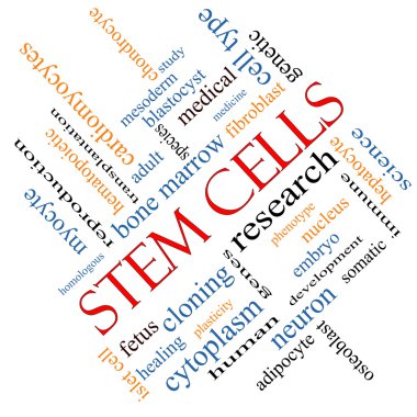 Stem Cells Word Cloud Concept Angled clipart