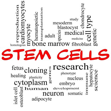 Stem Cells Word Cloud Concept in red caps clipart