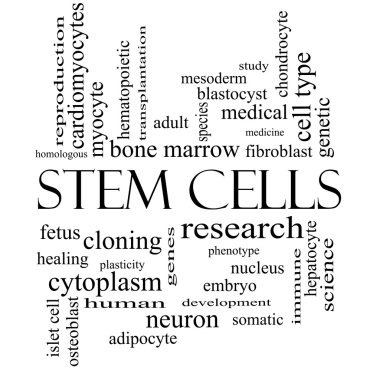 Stem Cells Word Cloud Concept in black and white clipart
