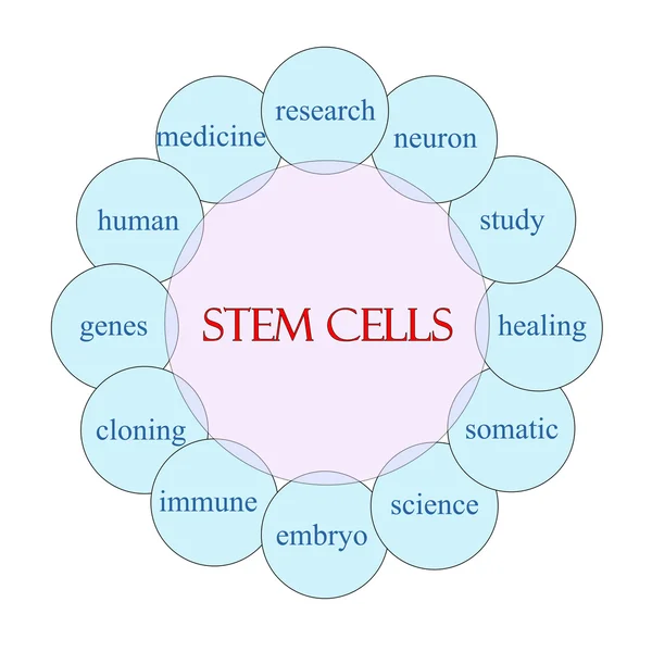 Concepto de palabra circular de células madre —  Fotos de Stock