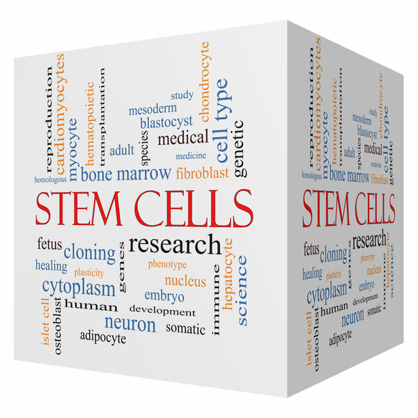 Stem Cells 3D cube Word Cloud Concept