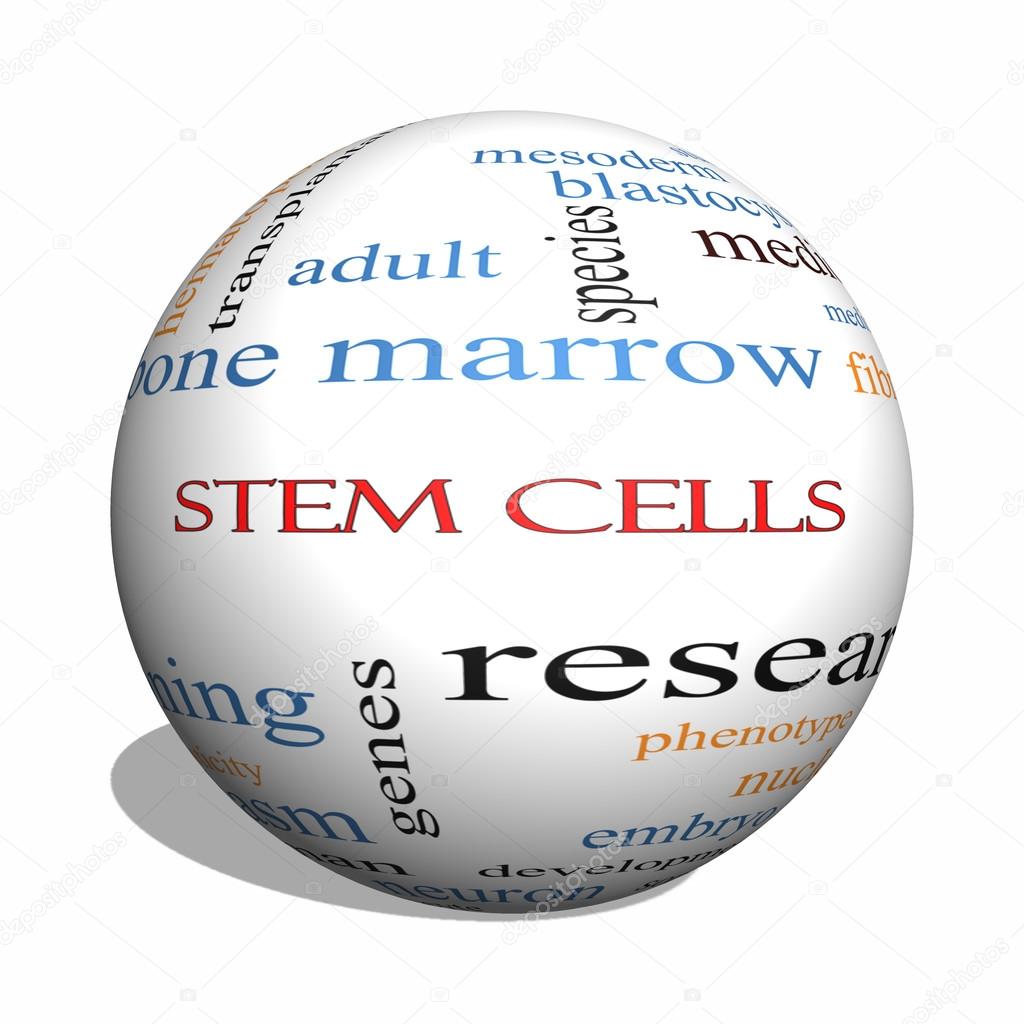 Stem Cells 3D sphere Word Cloud Concept