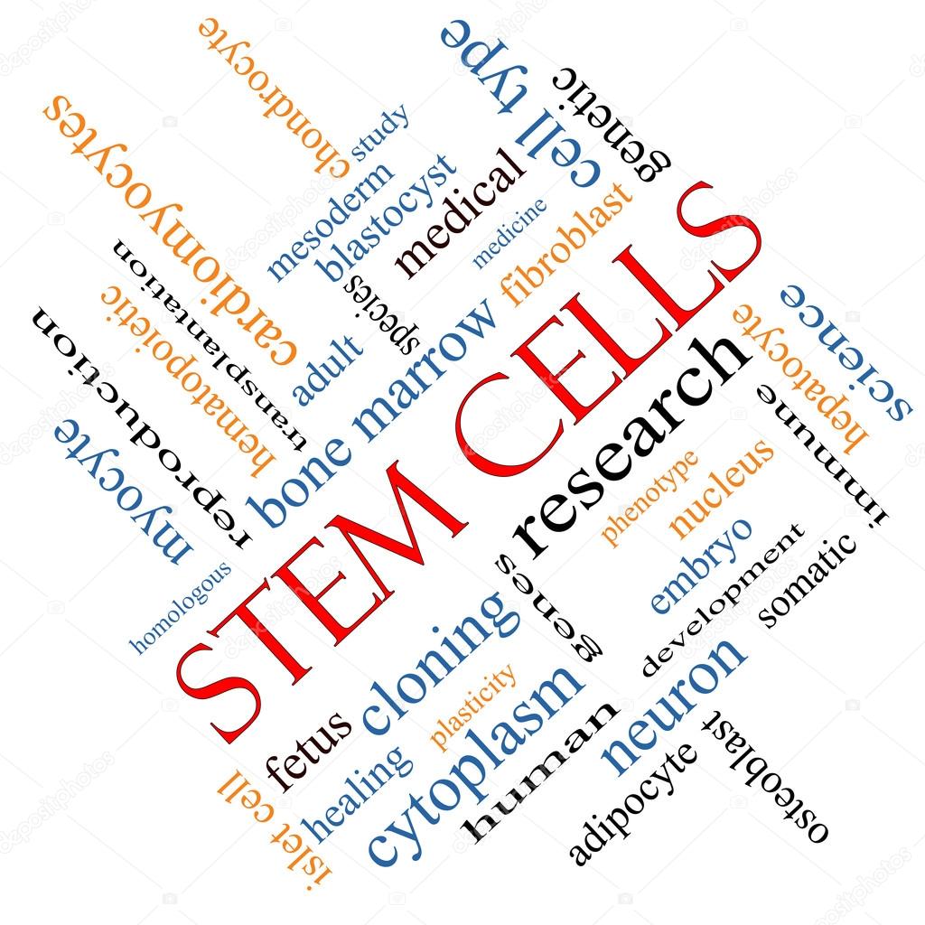 Stem Cells Word Cloud Concept Angled