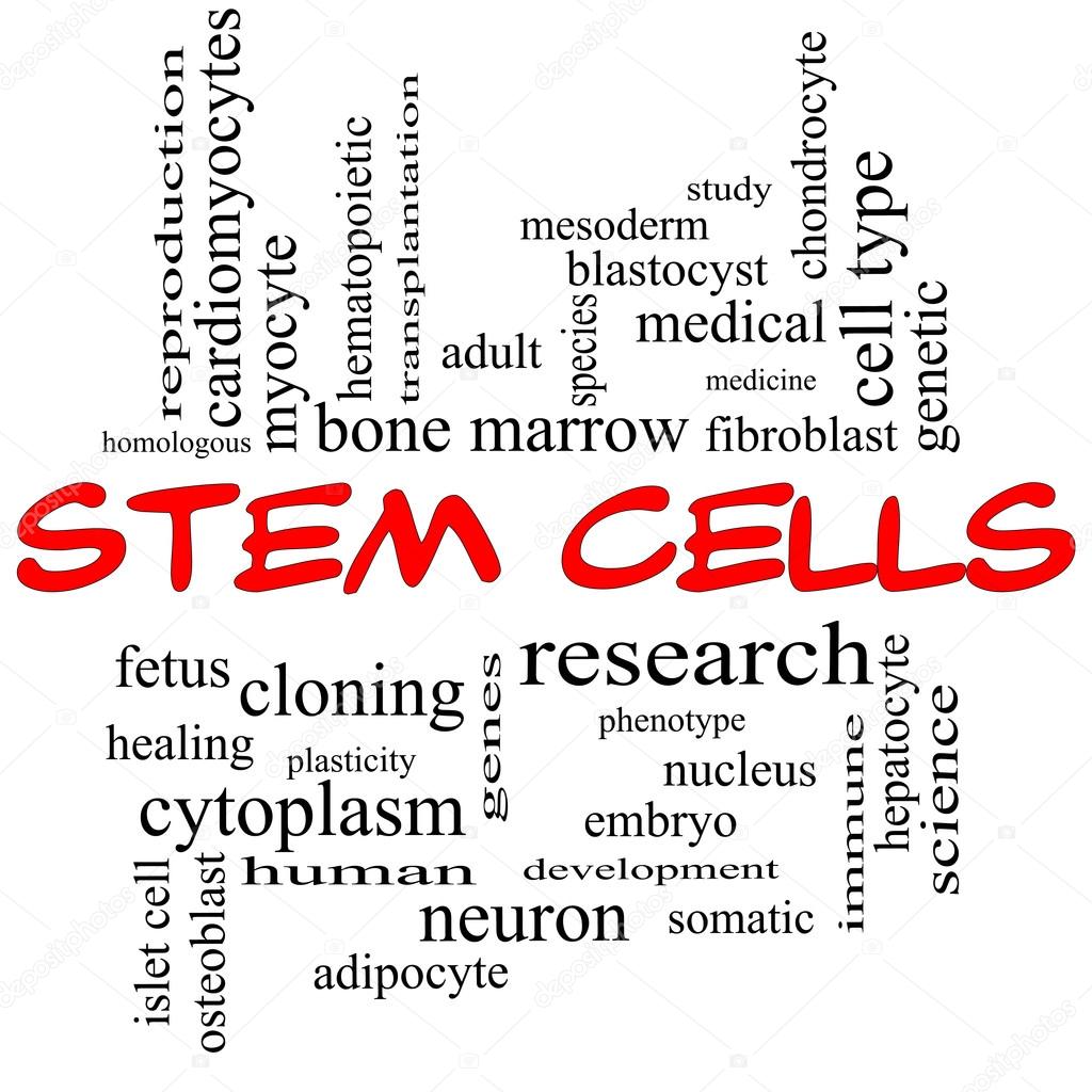 Stem Cells Word Cloud Concept in red caps