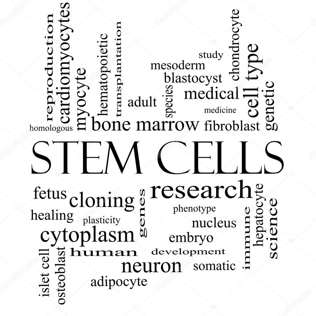 Stem Cells Word Cloud Concept in black and white