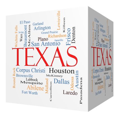 Texas State 3D cube Word Cloud Concept clipart