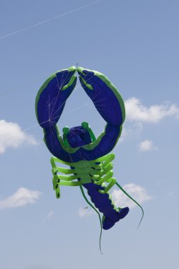 mavi ve yeşil ıstakoz uçurtma flys yüksek