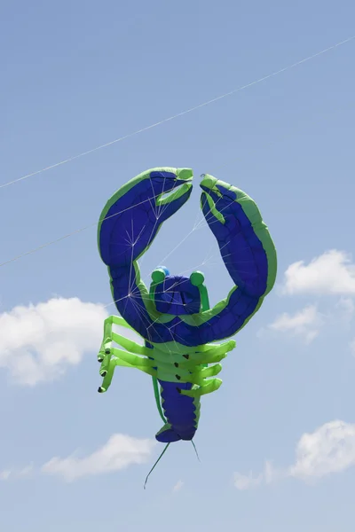 Blå och gröna hummer kite — Stockfoto