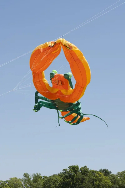 Blå och gröna hummer kite — Stockfoto