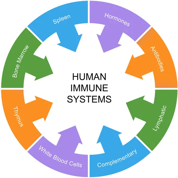 Immunsystemet ordet cirkel koncept — Stockfoto