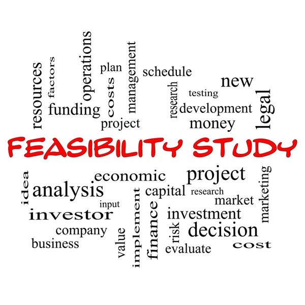 Feasibility Study Word Cloud Concept in red caps — Stock Photo, Image