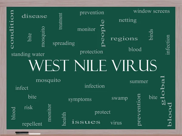 Virus du Nil occidental Word Cloud Concept sur un tableau noir — Photo