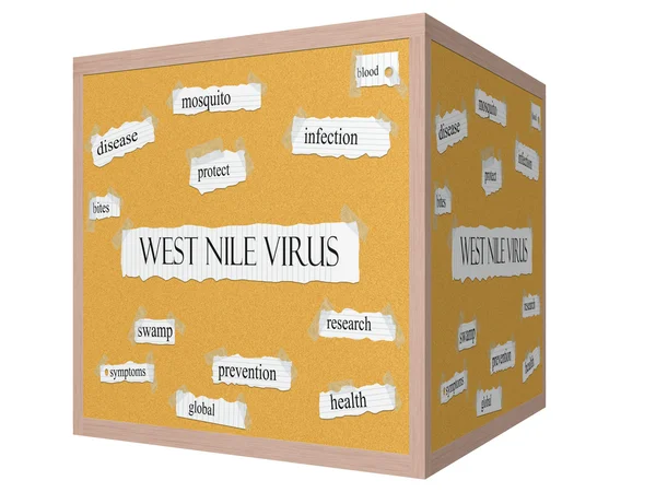 West nile virus 3D-kubus prikbord woord concept — Stockfoto