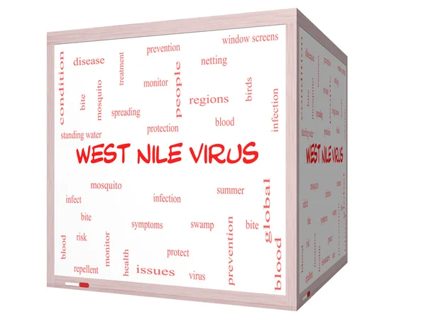 West Nile Virus Word Cloud Concept sur un tableau blanc cube 3D — Photo