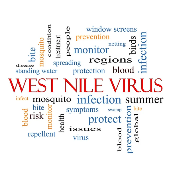 Zachodniego Nilu wirus słowo chmura koncepcja — Zdjęcie stockowe