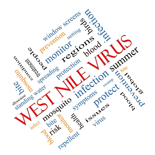 Virus du Nil occidental Word Cloud Concept Angled — Photo