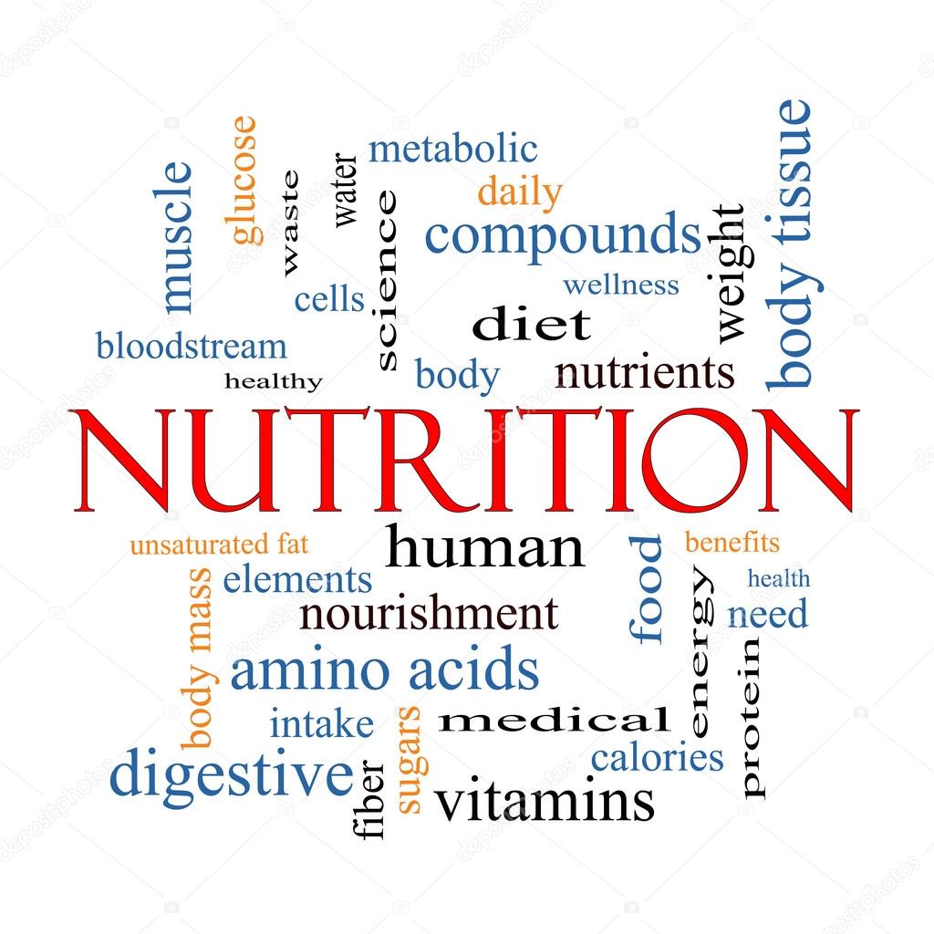 Nutrition Word Cloud Concept