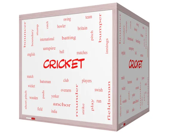 Cricket woord wolk concept op een 3d cube whiteboard — Stockfoto