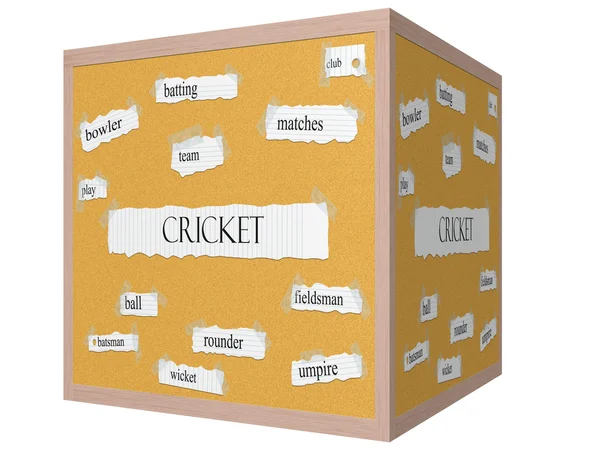 Cricket 3D cubo Corkboard Word Concept — Foto de Stock